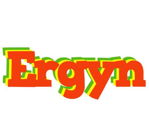 Ergyn bbq logo