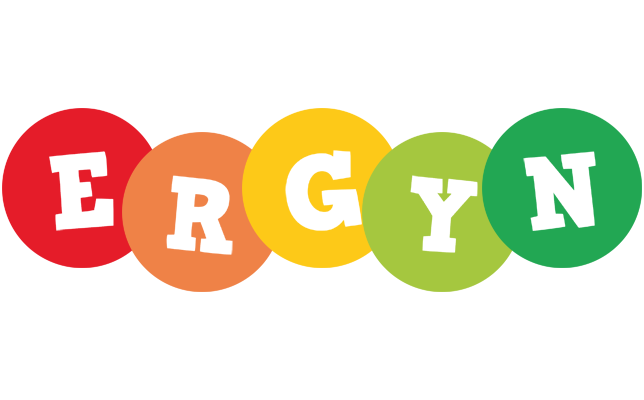 Ergyn boogie logo