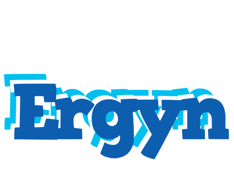 Ergyn business logo