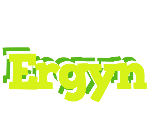 Ergyn citrus logo