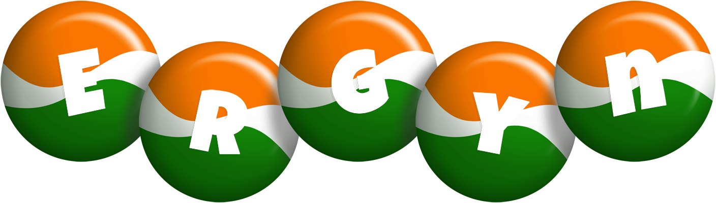 Ergyn india logo