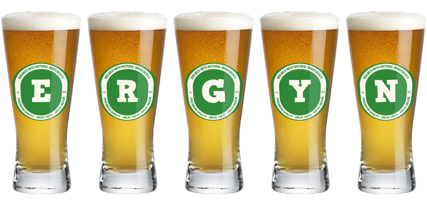 Ergyn lager logo