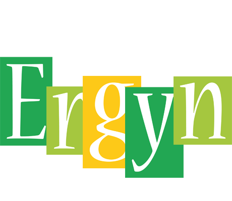 Ergyn lemonade logo