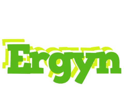 Ergyn picnic logo
