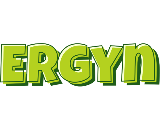 Ergyn summer logo