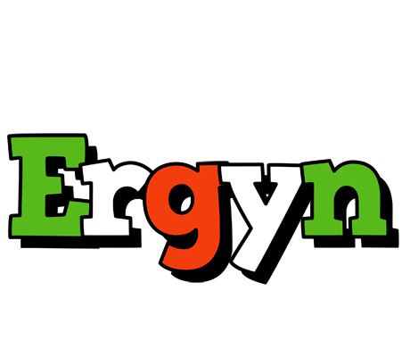 Ergyn venezia logo