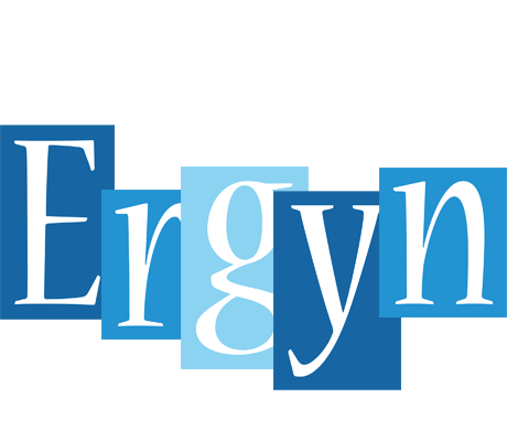 Ergyn winter logo