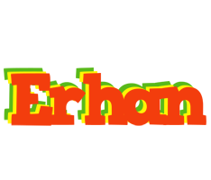 Erhan bbq logo