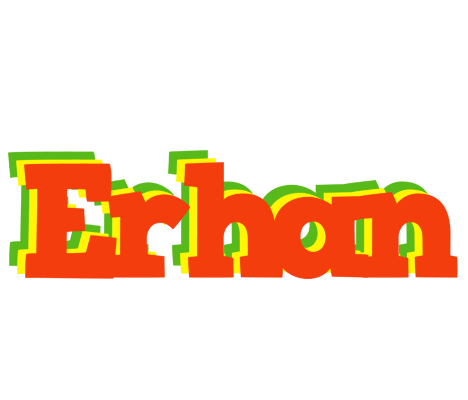 Erhan bbq logo