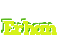 Erhan citrus logo