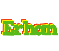 Erhan crocodile logo