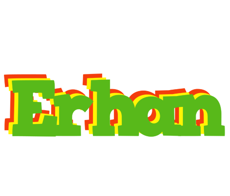 Erhan crocodile logo