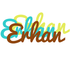 Erhan cupcake logo