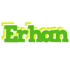 Erhan picnic logo