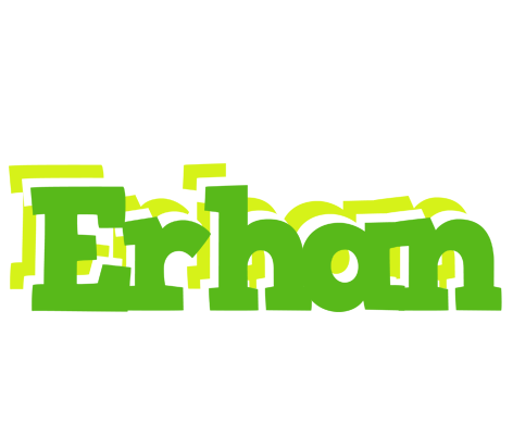 Erhan picnic logo