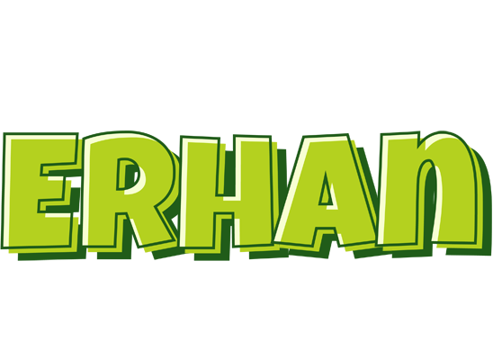 Erhan summer logo