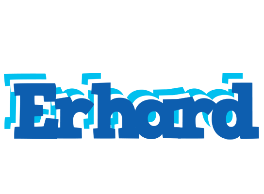 Erhard business logo