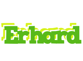 Erhard picnic logo