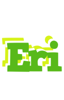 Eri picnic logo