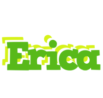 Erica picnic logo