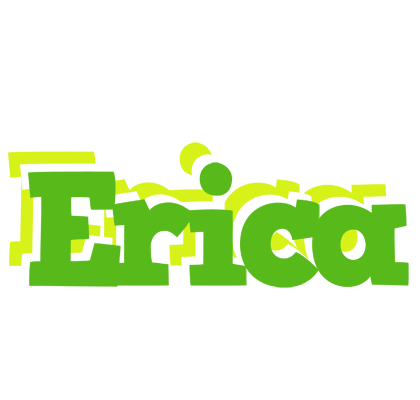 Erica picnic logo