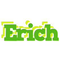 Erich picnic logo