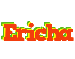 Ericha bbq logo
