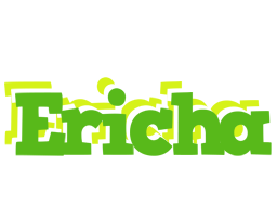Ericha picnic logo