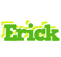 Erick picnic logo