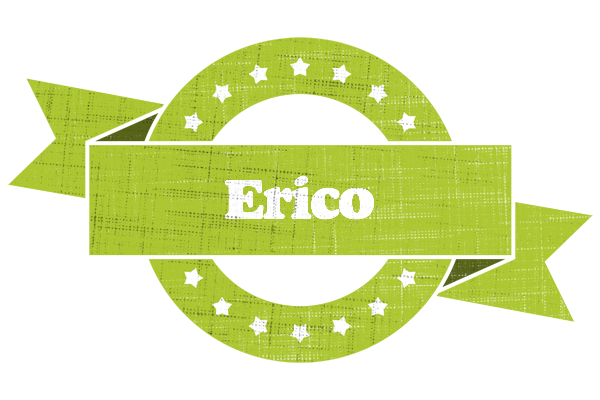 Erico change logo