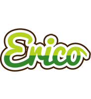 Erico golfing logo