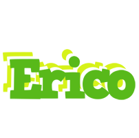 Erico picnic logo