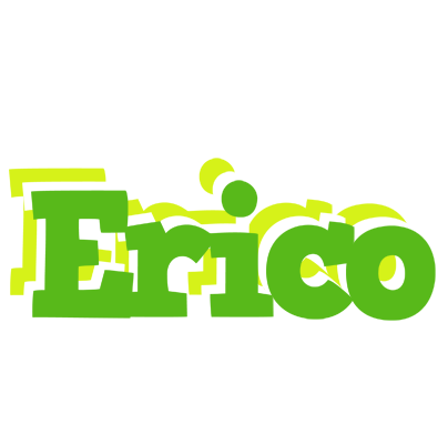 Erico picnic logo