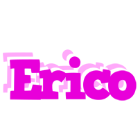 Erico rumba logo