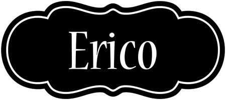 Erico welcome logo