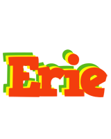 Erie bbq logo