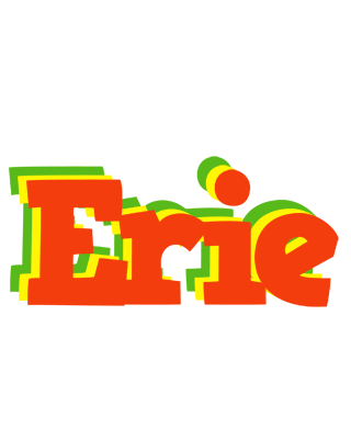 Erie bbq logo