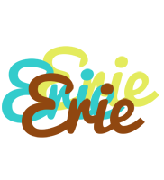 Erie cupcake logo