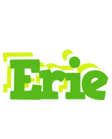 Erie picnic logo