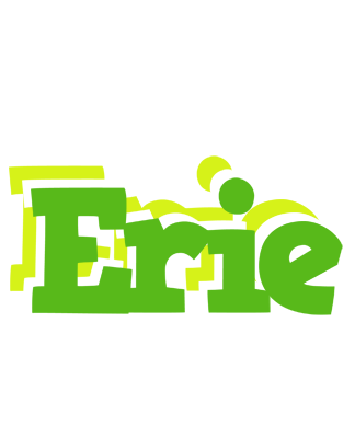 Erie picnic logo