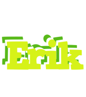 Erik citrus logo