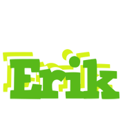 Erik picnic logo