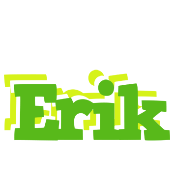 Erik picnic logo
