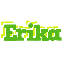 Erika picnic logo