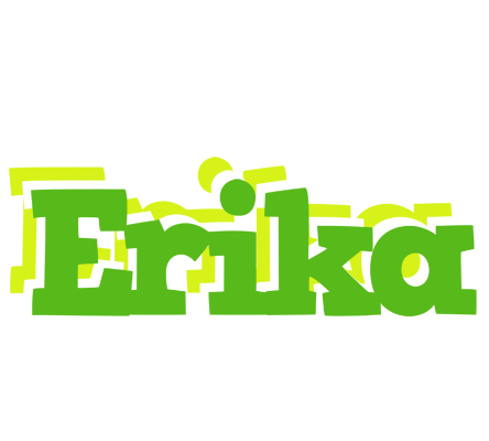 Erika picnic logo