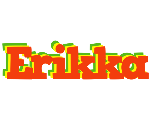 Erikka bbq logo