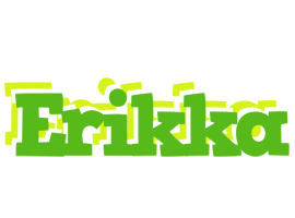 Erikka picnic logo