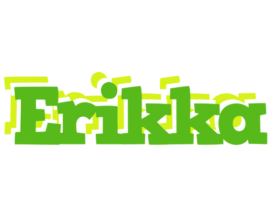Erikka picnic logo