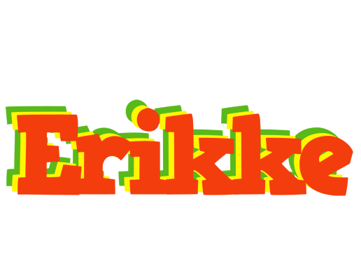 Erikke bbq logo