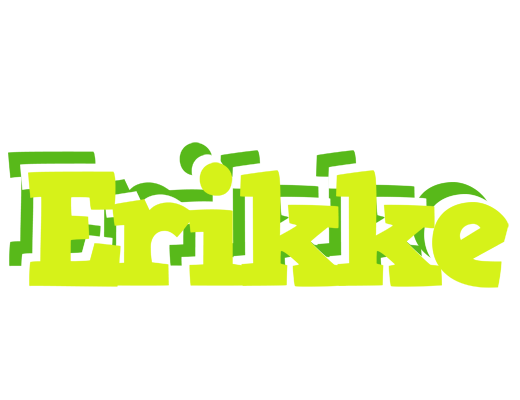 Erikke citrus logo